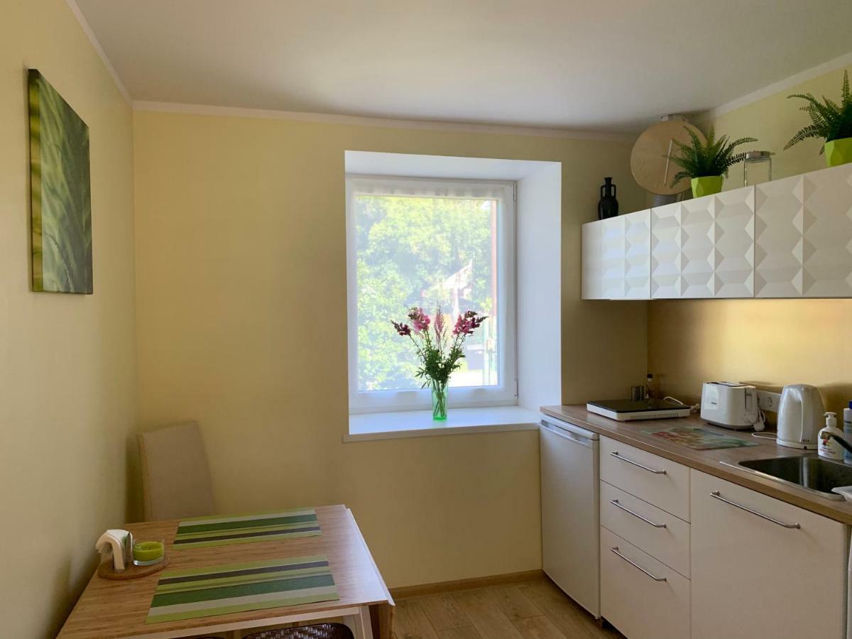 Excelent Apartment With Garden And Free Parking リガ エクステリア 写真